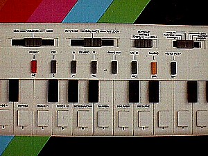 Casio VL-1 VL- Tone c.JPG (33599 bytes)