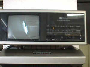 Panasonic TV.JPG (16204 bytes)