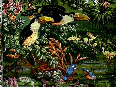 Toucans in Pond 70 x 48 4.JPG (75698 bytes)